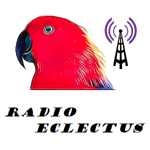 Radio Eclectus