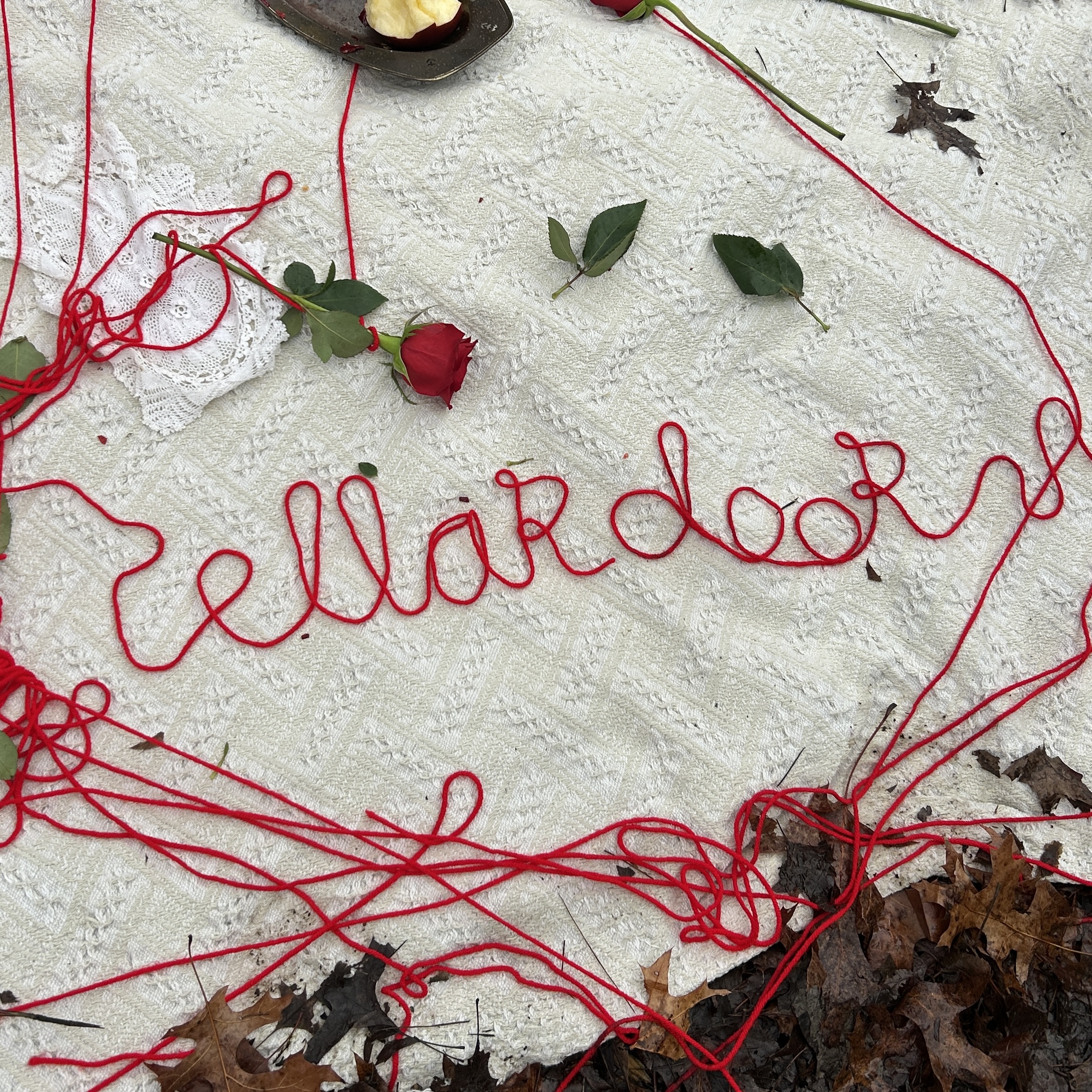 cellardoor radio